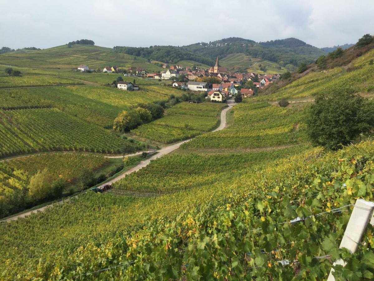 Caveau 1751 Niedermorschwihr Luaran gambar
